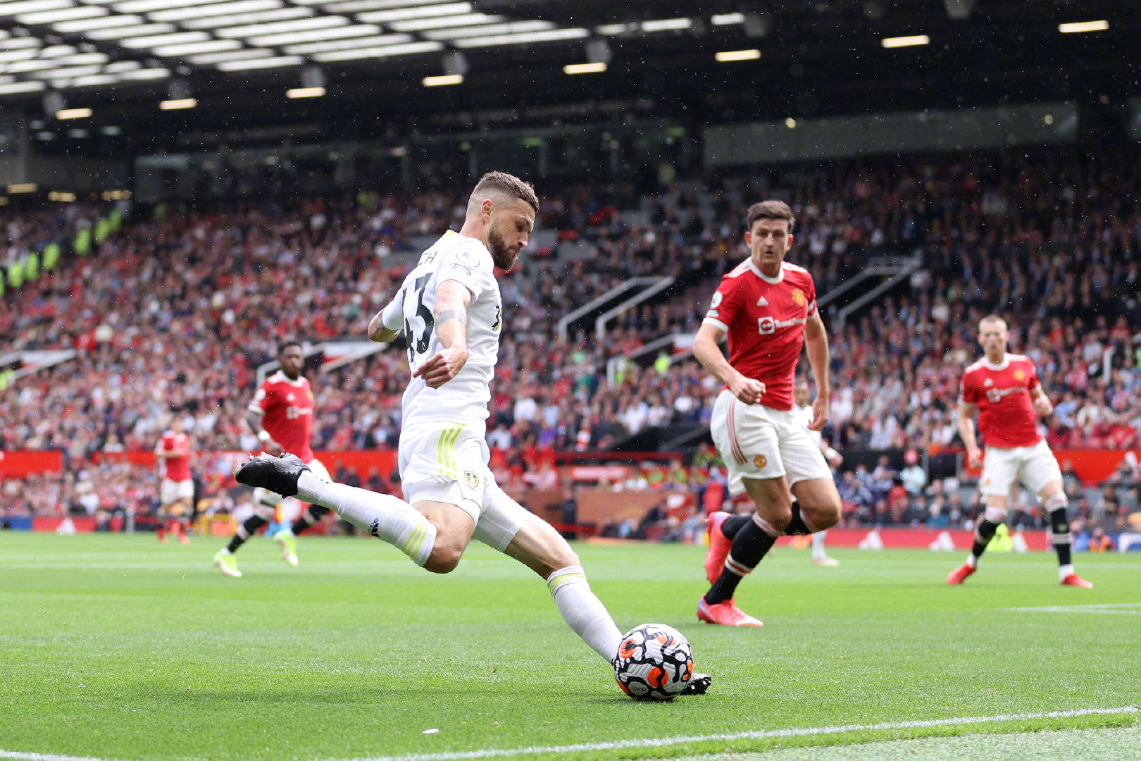 并致力于培 并致力于培