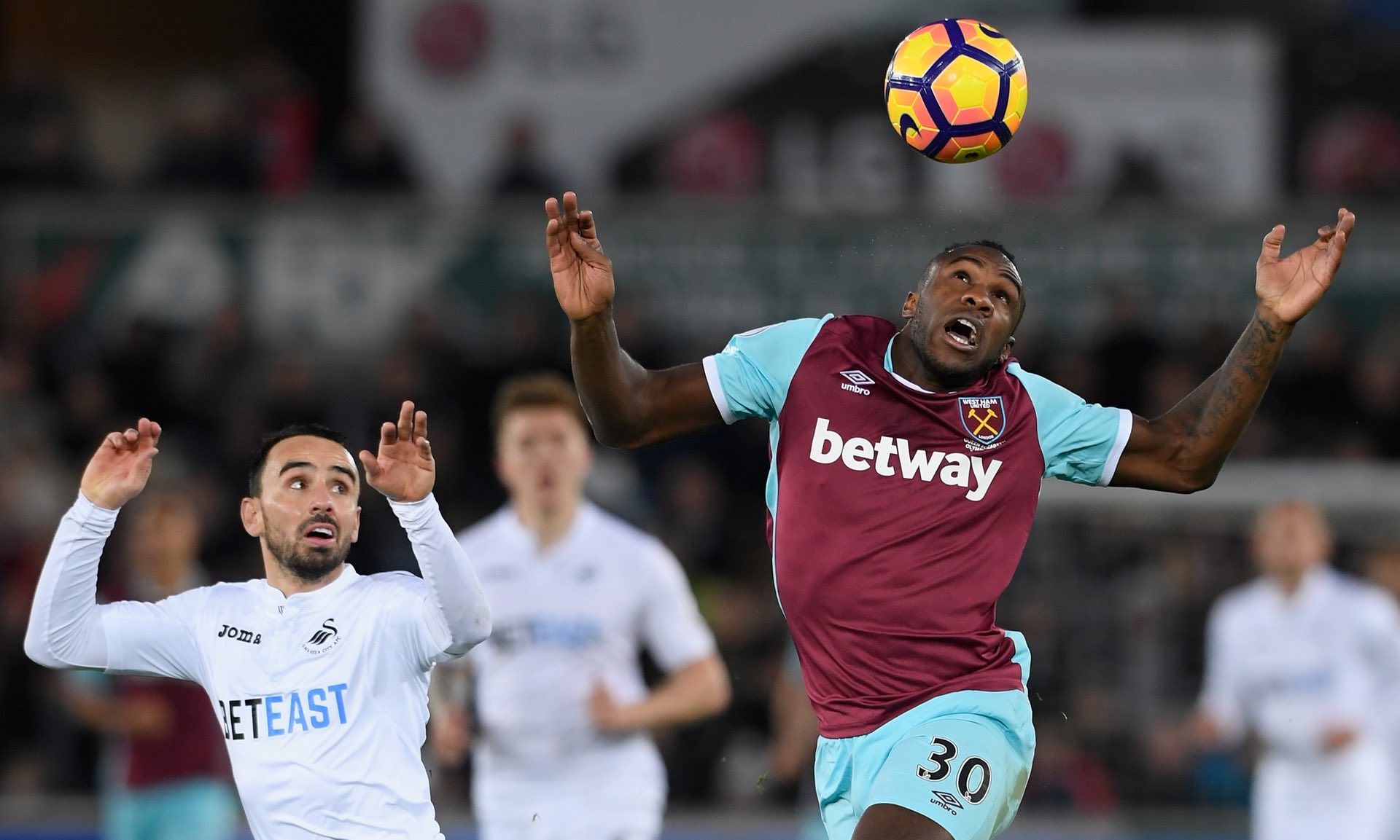 这种独特的 这种独特的